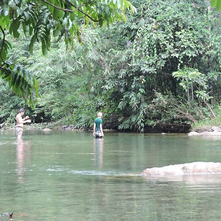 Sumatra Rainforest Eco Retreat ブキットラワン エクステリア 写真