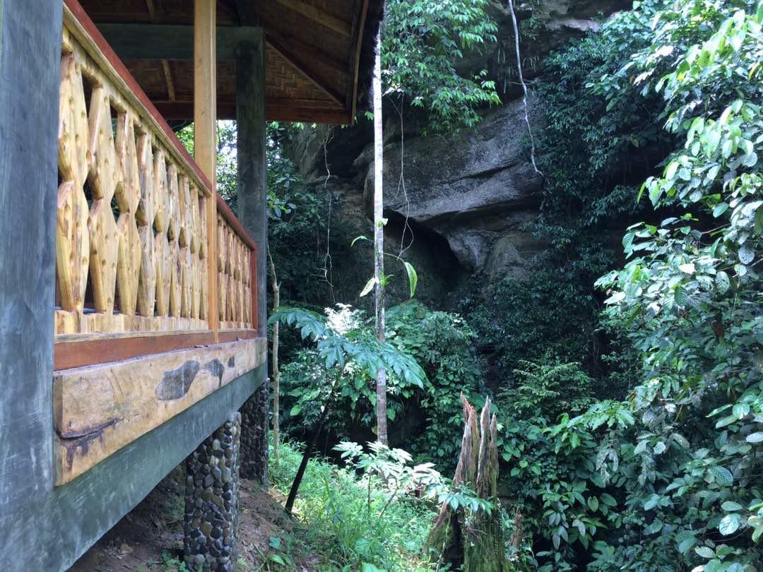 Sumatra Rainforest Eco Retreat ブキットラワン エクステリア 写真