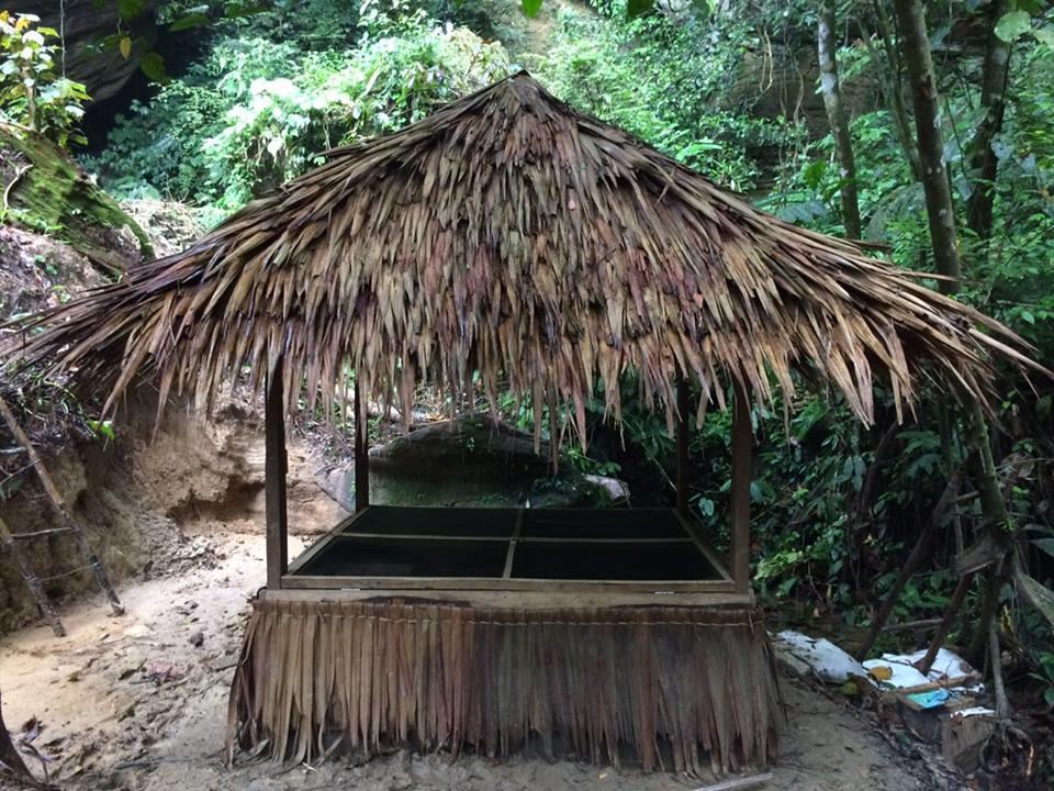 Sumatra Rainforest Eco Retreat ブキットラワン エクステリア 写真