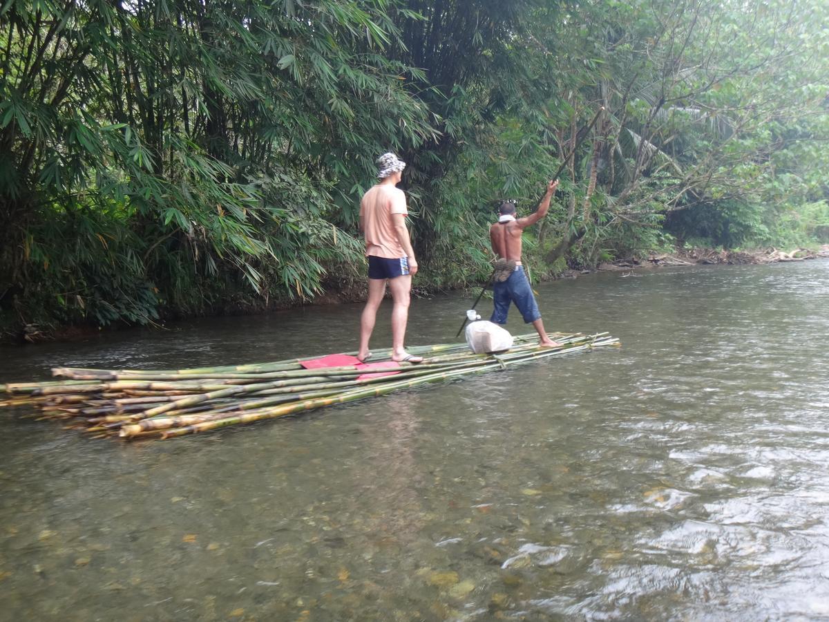 Sumatra Rainforest Eco Retreat ブキットラワン エクステリア 写真