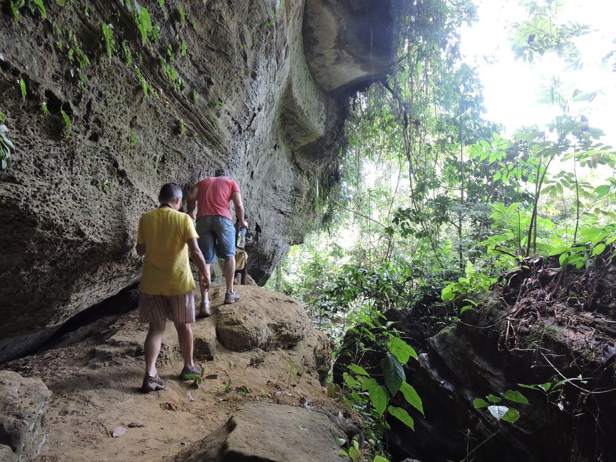 Sumatra Rainforest Eco Retreat ブキットラワン エクステリア 写真