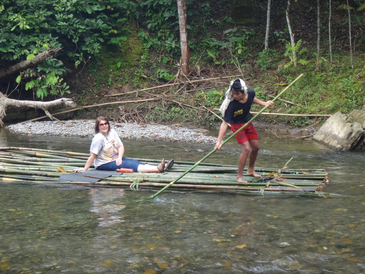 Sumatra Rainforest Eco Retreat ブキットラワン エクステリア 写真