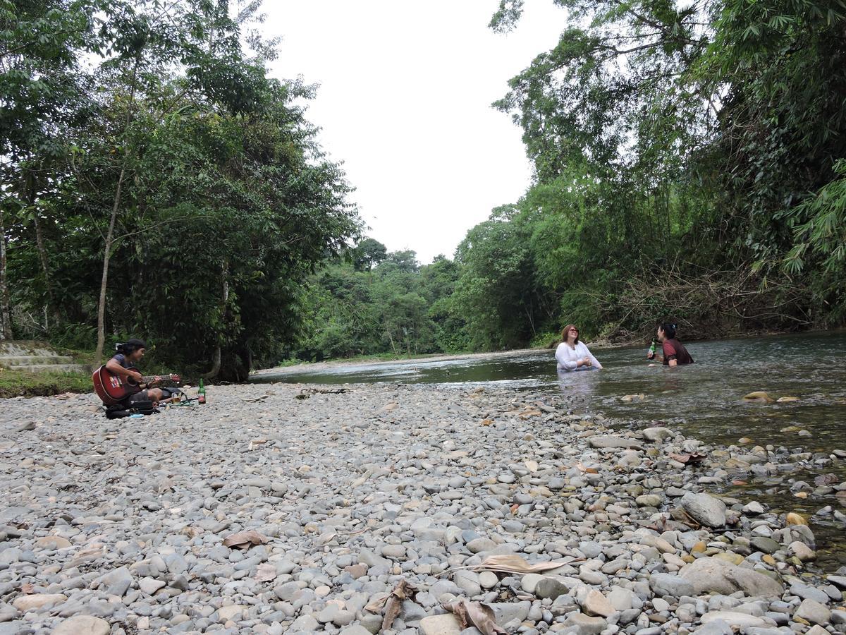 Sumatra Rainforest Eco Retreat ブキットラワン エクステリア 写真