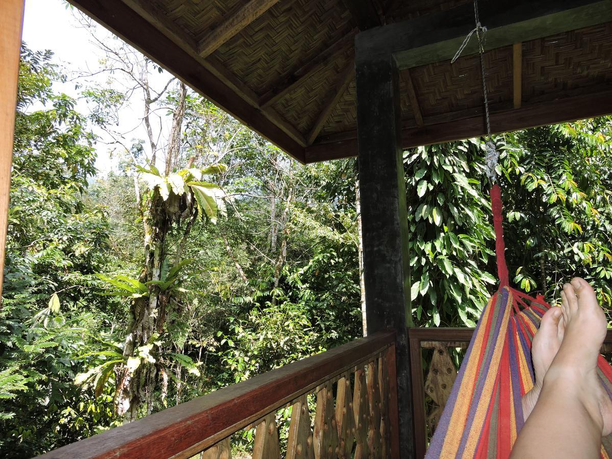 Sumatra Rainforest Eco Retreat ブキットラワン エクステリア 写真