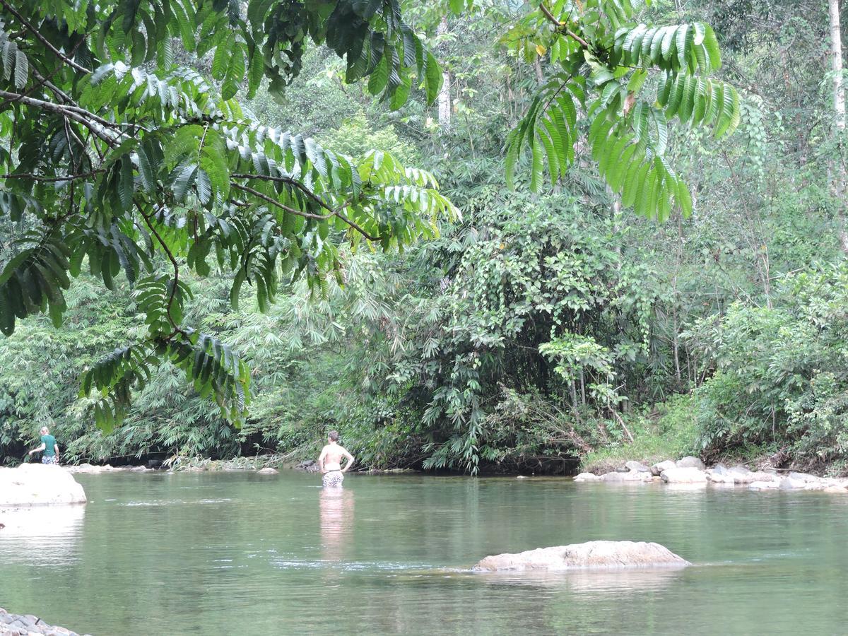 Sumatra Rainforest Eco Retreat ブキットラワン エクステリア 写真