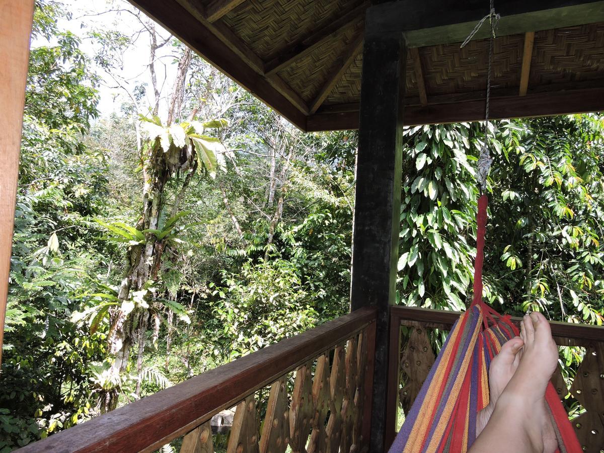 Sumatra Rainforest Eco Retreat ブキットラワン エクステリア 写真