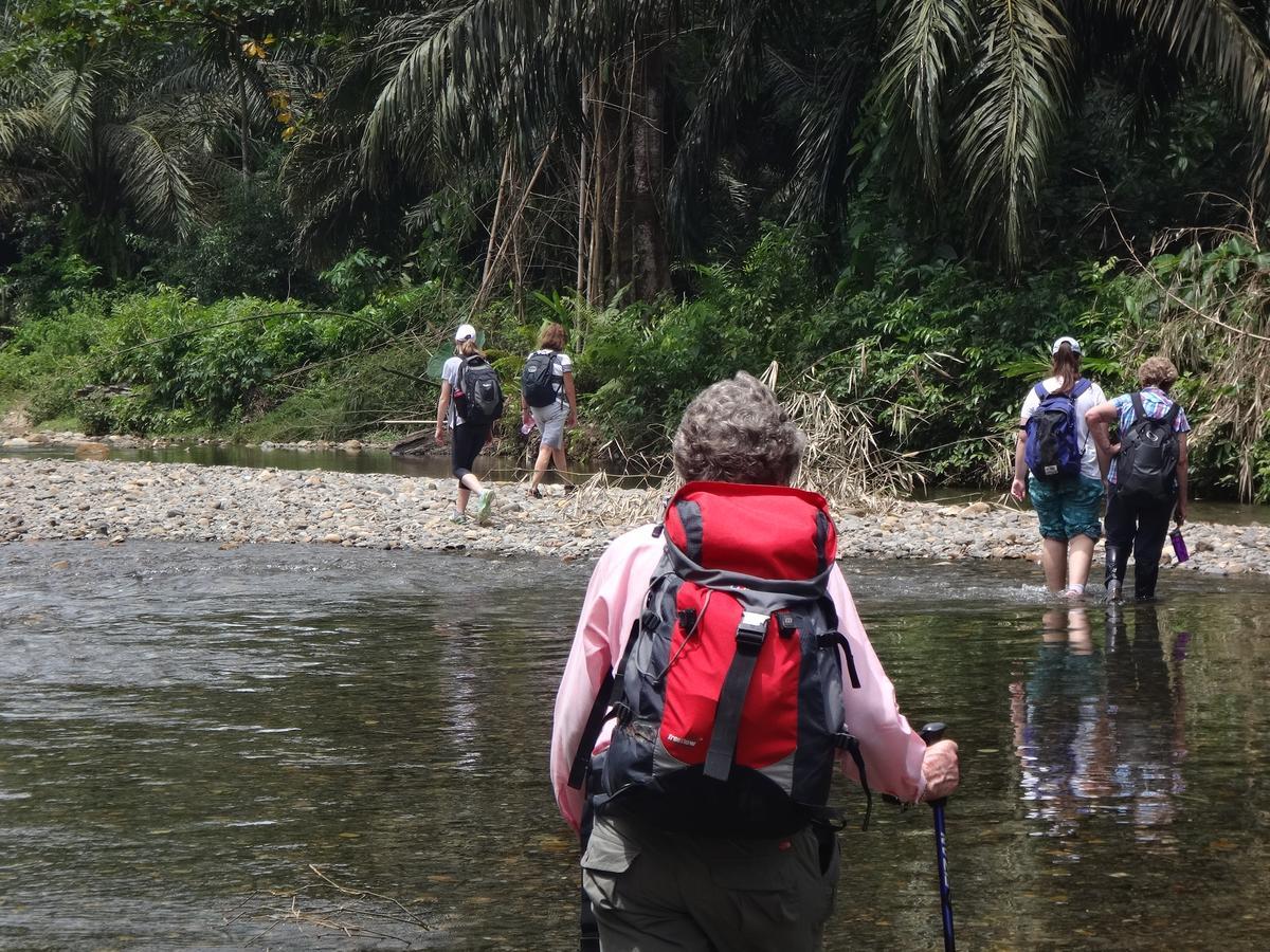 Sumatra Rainforest Eco Retreat ブキットラワン エクステリア 写真