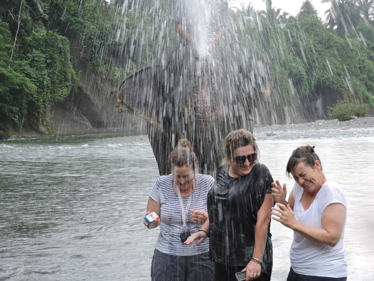 Sumatra Rainforest Eco Retreat ブキットラワン エクステリア 写真