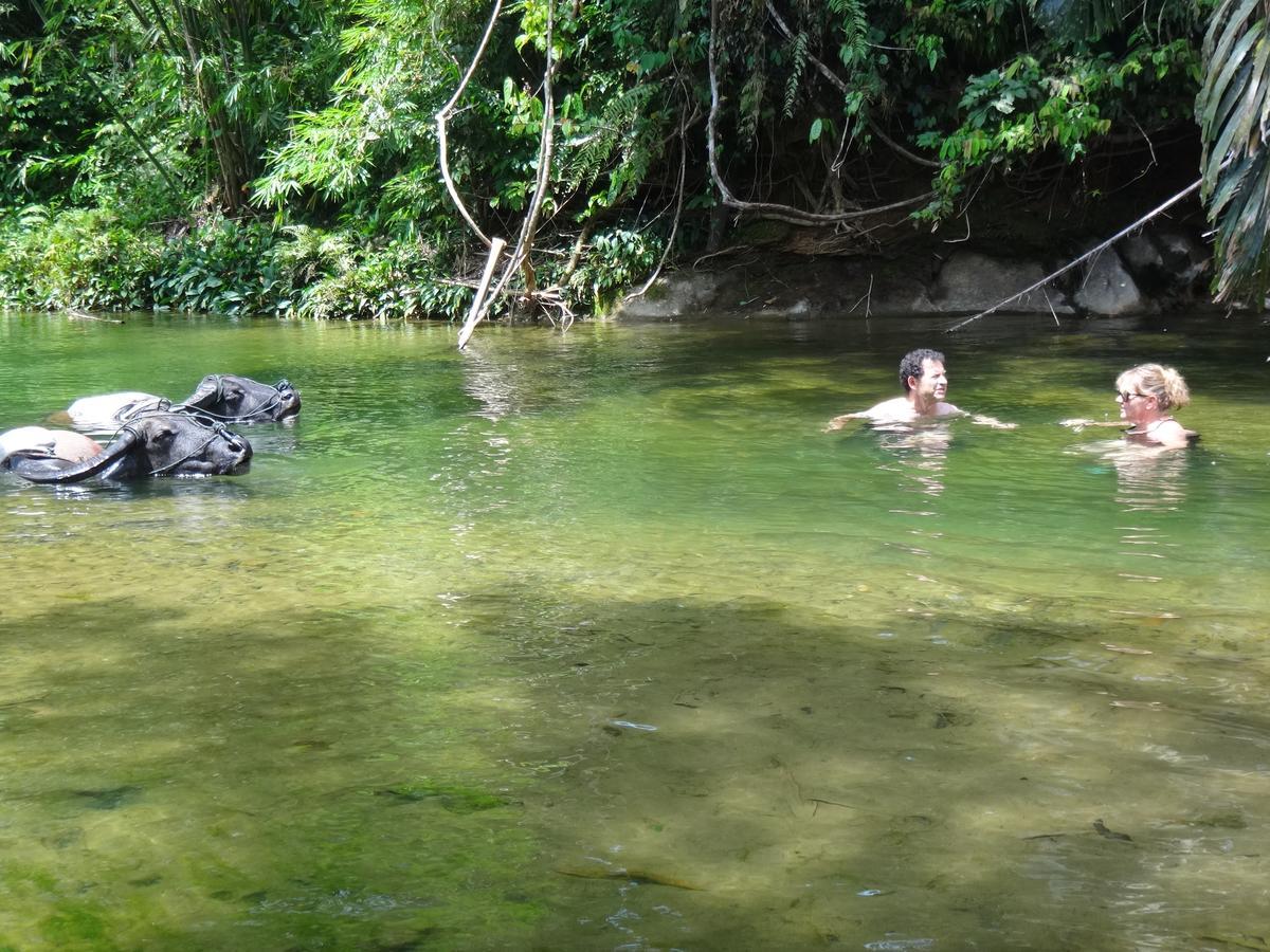 Sumatra Rainforest Eco Retreat ブキットラワン エクステリア 写真