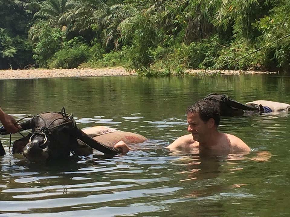 Sumatra Rainforest Eco Retreat ブキットラワン エクステリア 写真