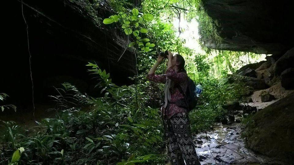 Sumatra Rainforest Eco Retreat ブキットラワン エクステリア 写真