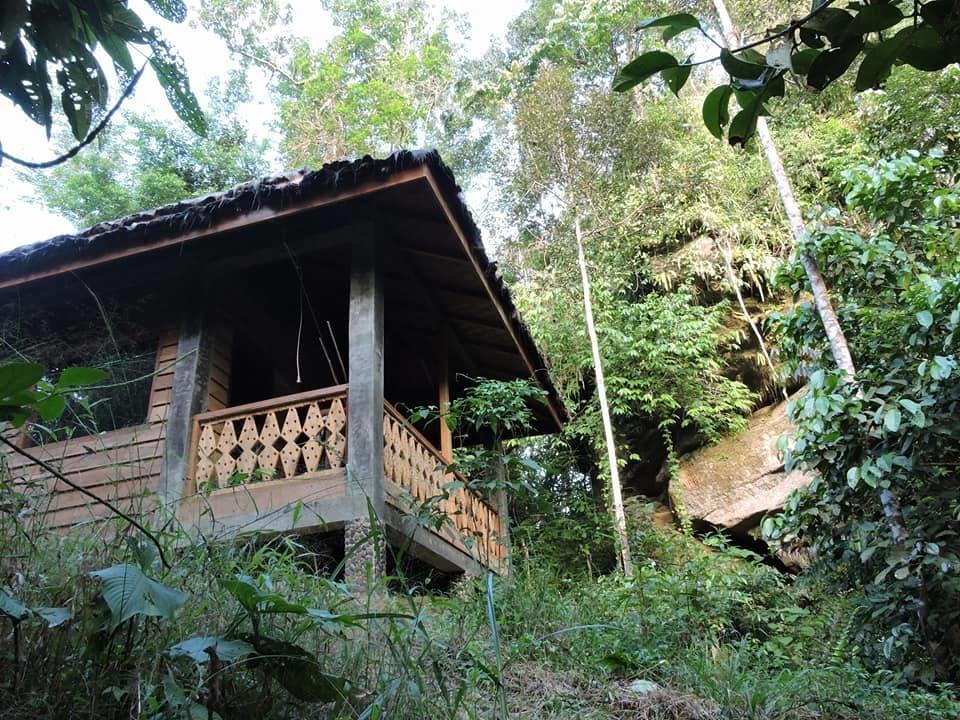 Sumatra Rainforest Eco Retreat ブキットラワン エクステリア 写真