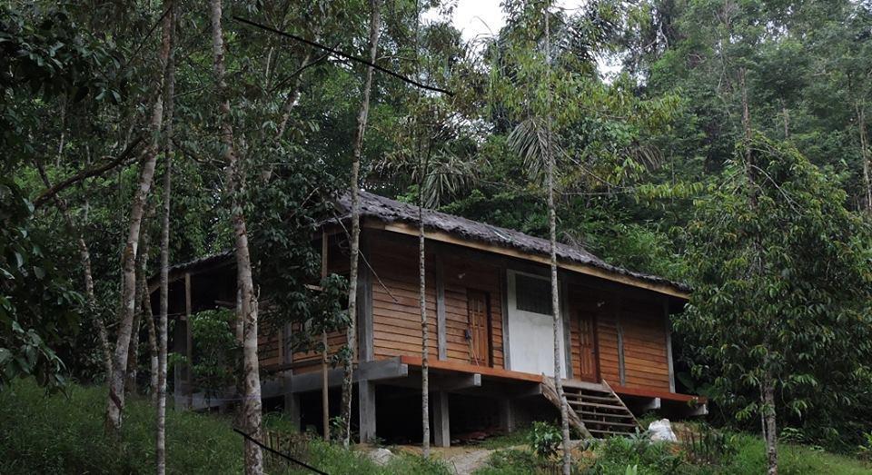 Sumatra Rainforest Eco Retreat ブキットラワン エクステリア 写真