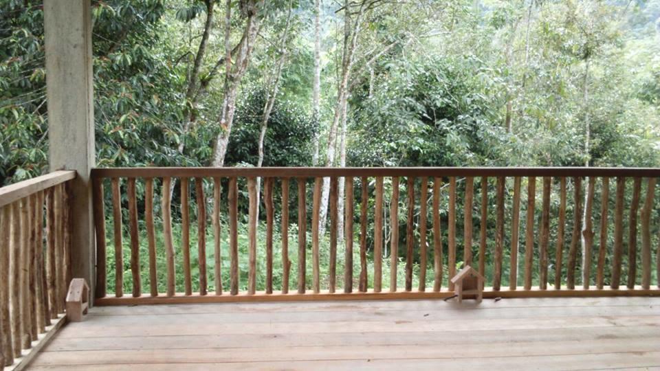 Sumatra Rainforest Eco Retreat ブキットラワン エクステリア 写真