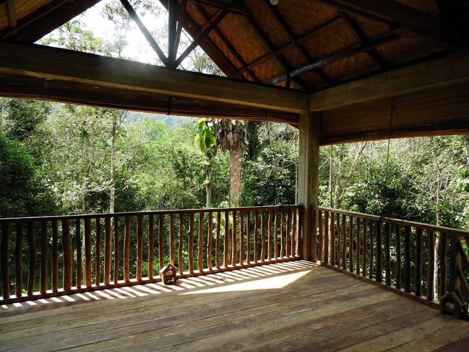 Sumatra Rainforest Eco Retreat ブキットラワン エクステリア 写真